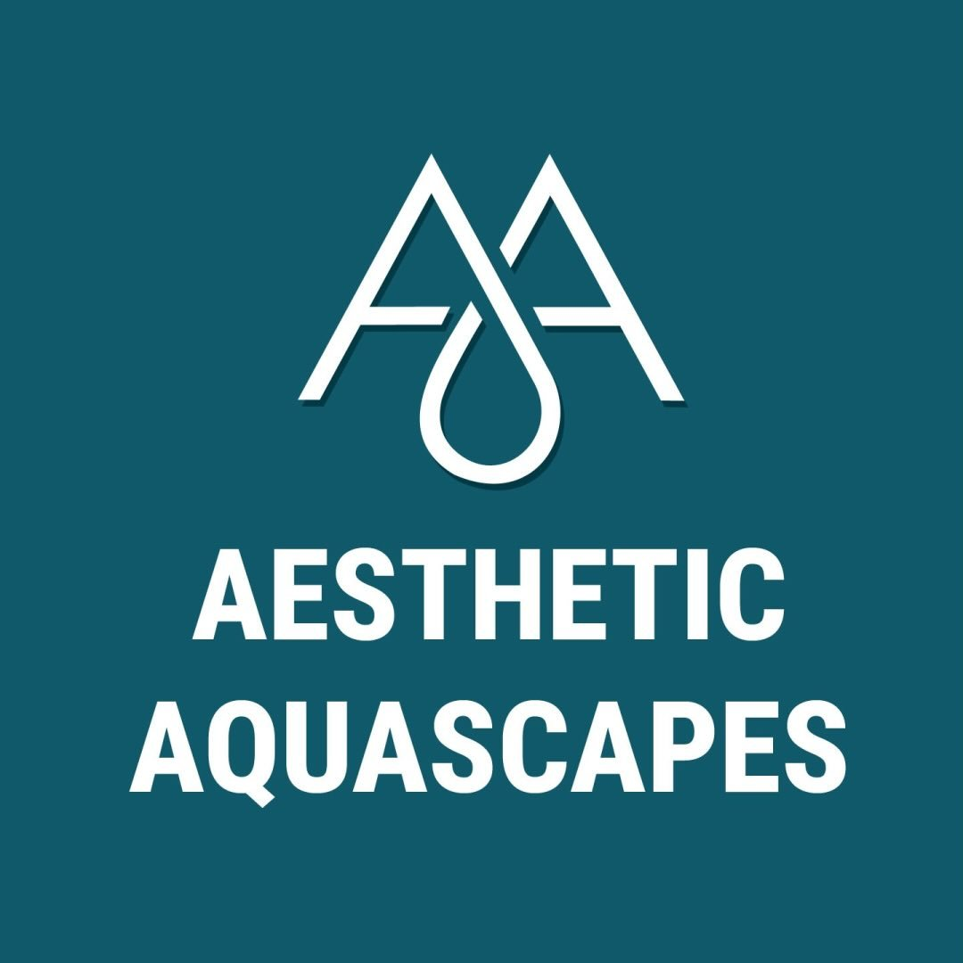 aestheticaquascapes